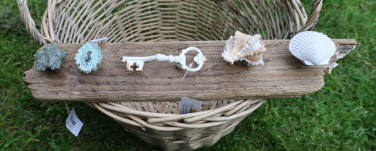 Möbelknauf Echte Muschel Maritim - Schubladengriff Landhaus Shabby Chic