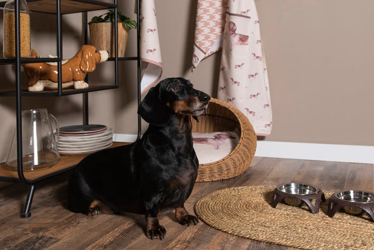 Alles für Dein geliebtes Haustier!