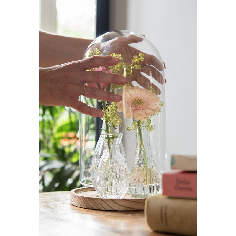 Kleine Glasvasen 3er Set - Dekorative Mini Vasen für Blumen