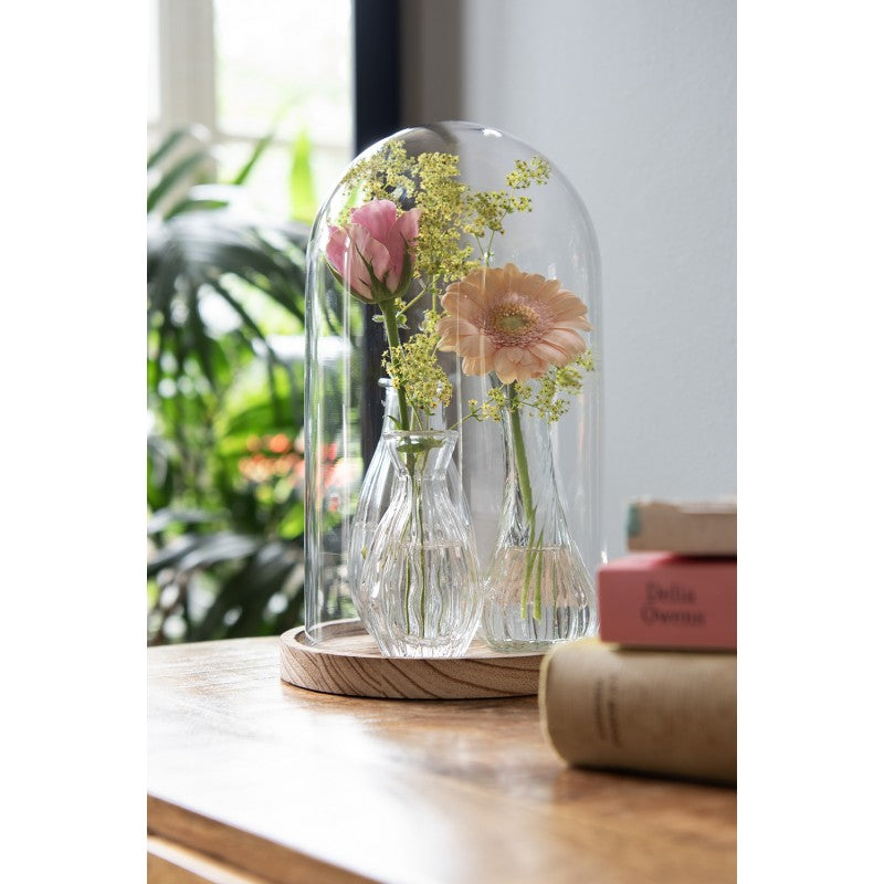 Kleine Glasvasen 3er Set - Dekorative Mini Vasen für Blumen