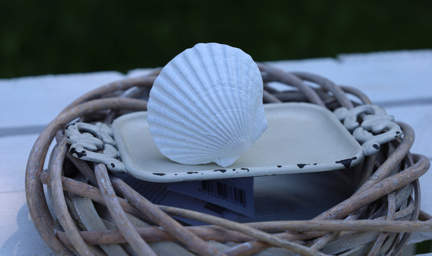 Möbelknopf Muschel Weiß - Maritimer Schubladengriff Landhausstil