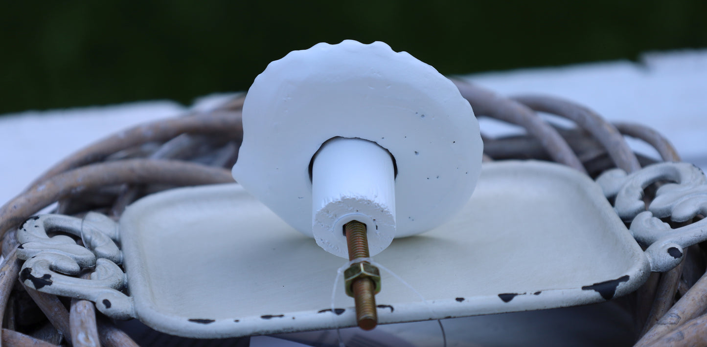 Möbelknopf Muschel Weiß - Maritimer Schubladengriff Landhausstil