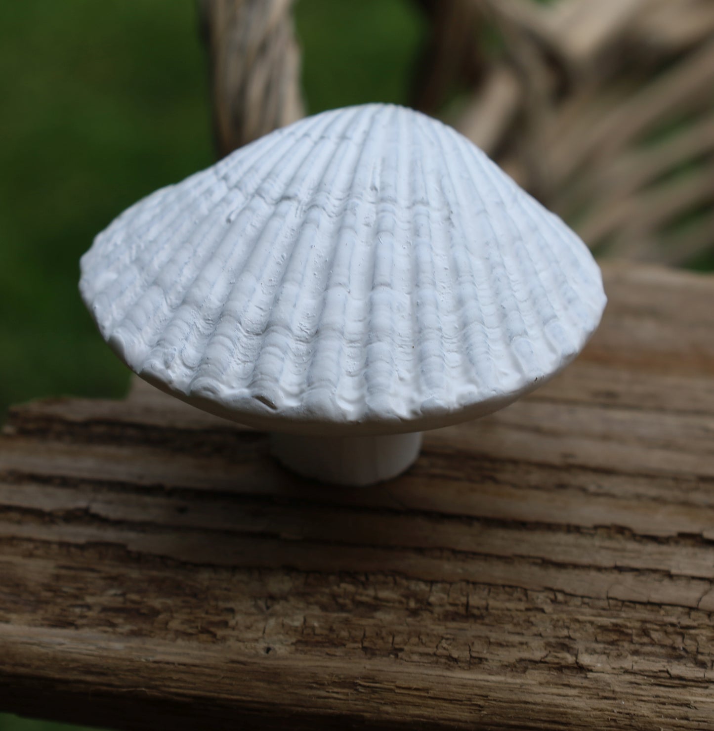 Möbelknopf Muschel Weiß - Maritimer Schubladengriff Landhausstil