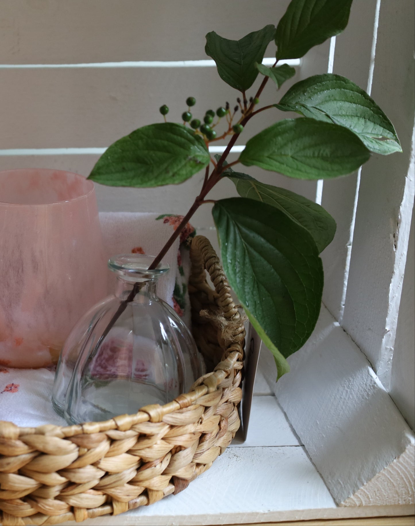 Muschelförmige Glasvase 2er Set - Transparente Blumenvase für Hochzeit & Tischdekoration