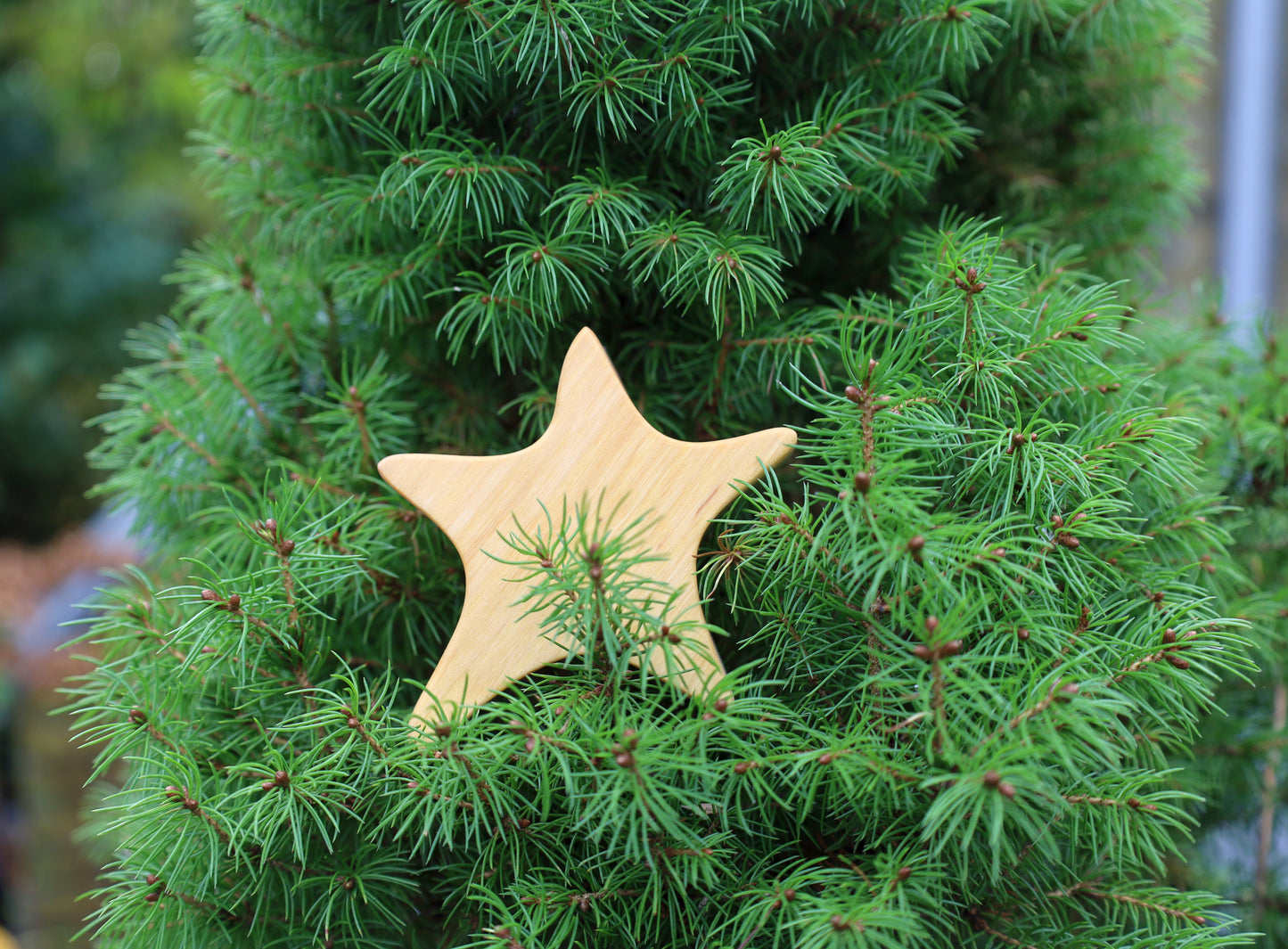 Asymmetrischer Holzstern aus Erle - Weihnachtsdeko Tannenbaumanhänger