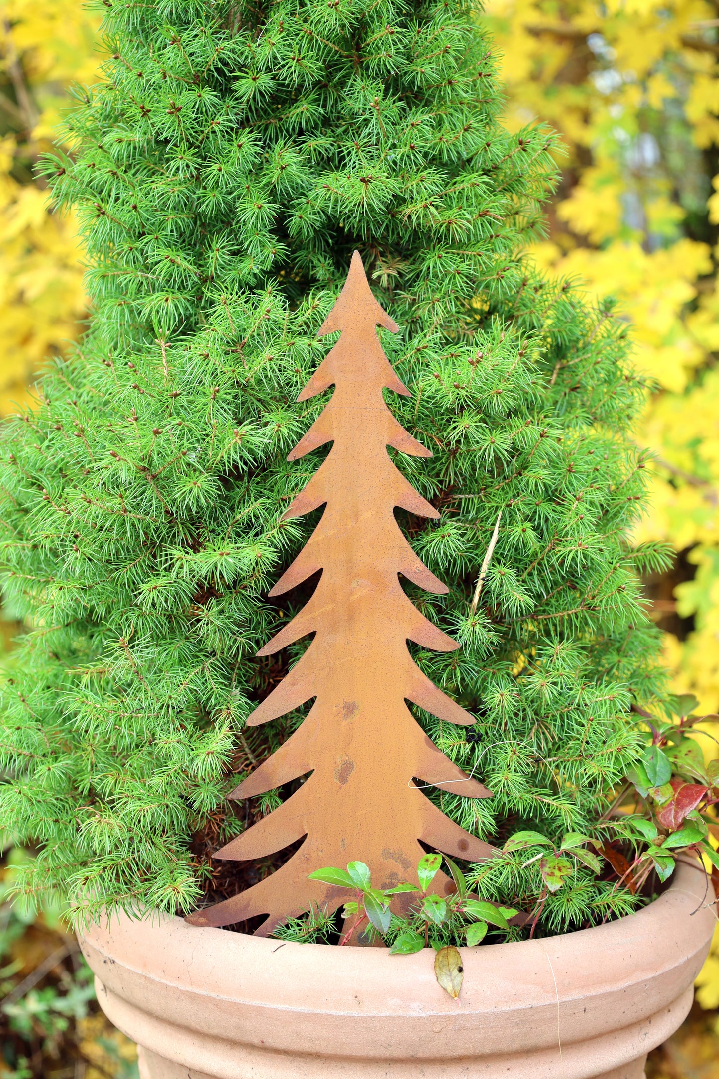 Edelrost Tannenbaum - Winterdekoration für Garten & Balkon