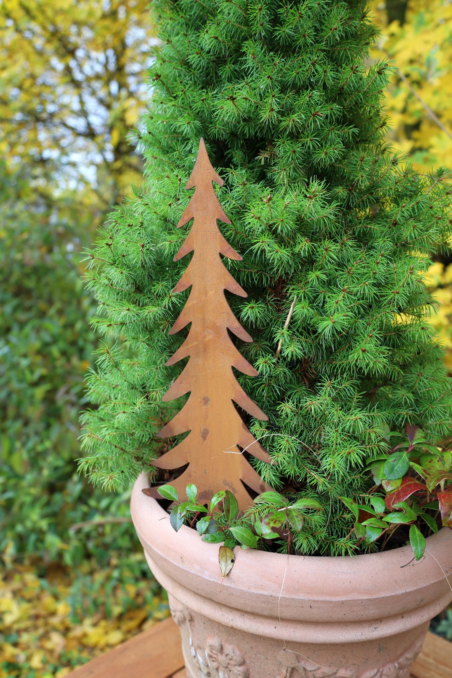 Edelrost Tannenbaum - Winterdekoration für Garten & Balkon