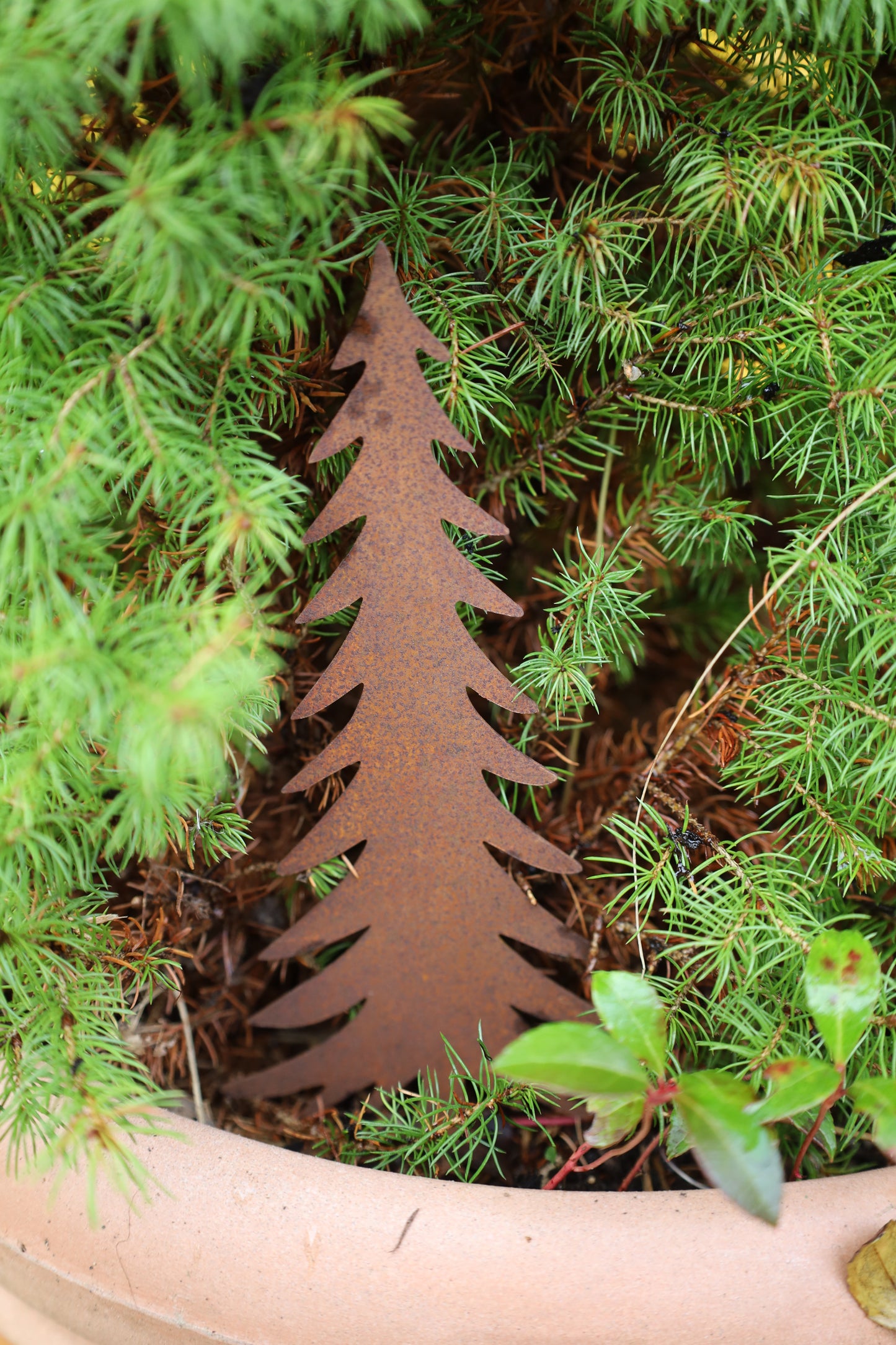 Edelrost Tannenbaum - Winterdekoration für Garten & Balkon