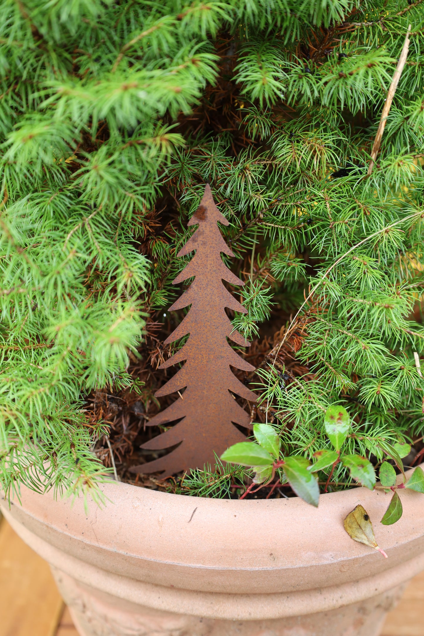 Edelrost Tannenbaum - Winterdekoration für Garten & Balkon