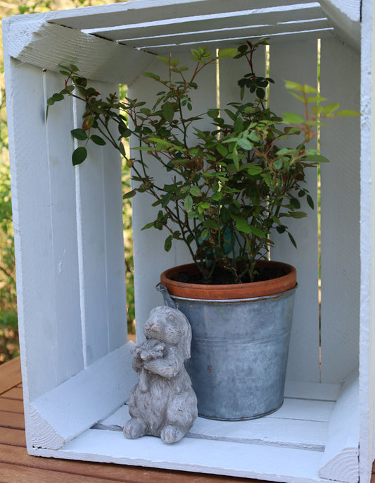 Dekorativer Zinkeimer Grau - Übertopf im Landhausstil