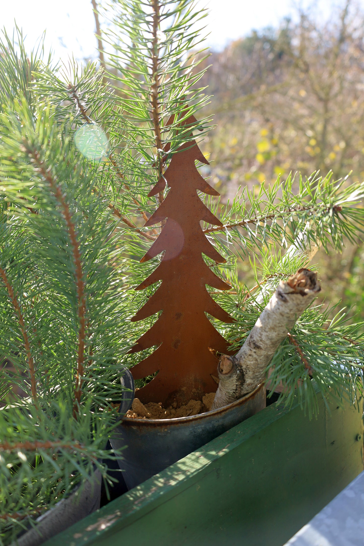 Edelrost Tannenbaum - Winterdekoration für Garten & Balkon