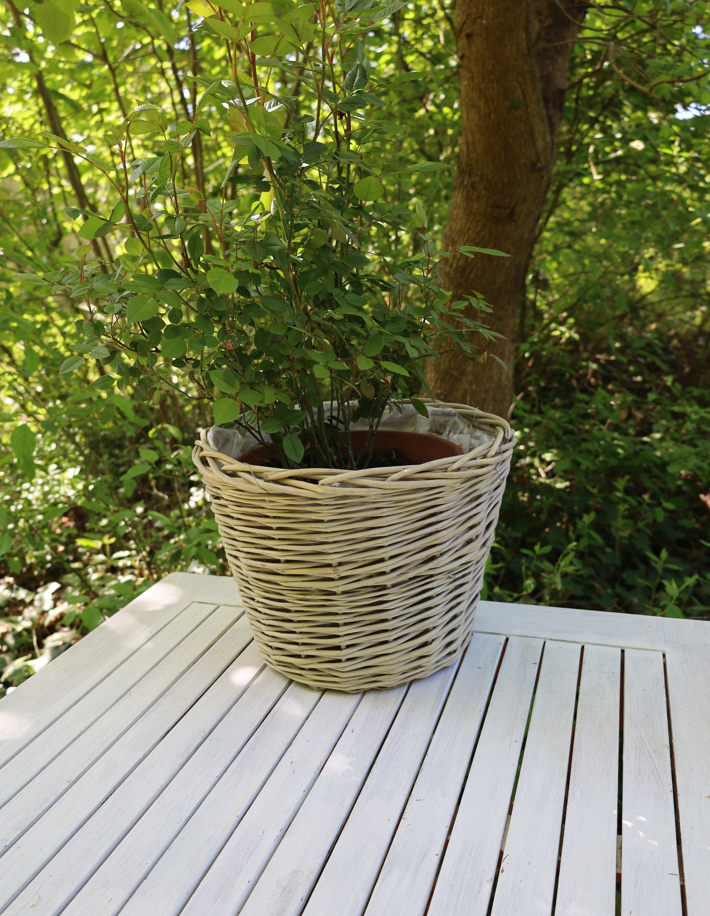 Rattan Pflanztopf 3er Set – Boho Übertopf Beige | Clayre & Eef {{ Shabby Chic und Landhaus Deko }} {{ www.Stein-Alt.de The cosy Cottage }}
