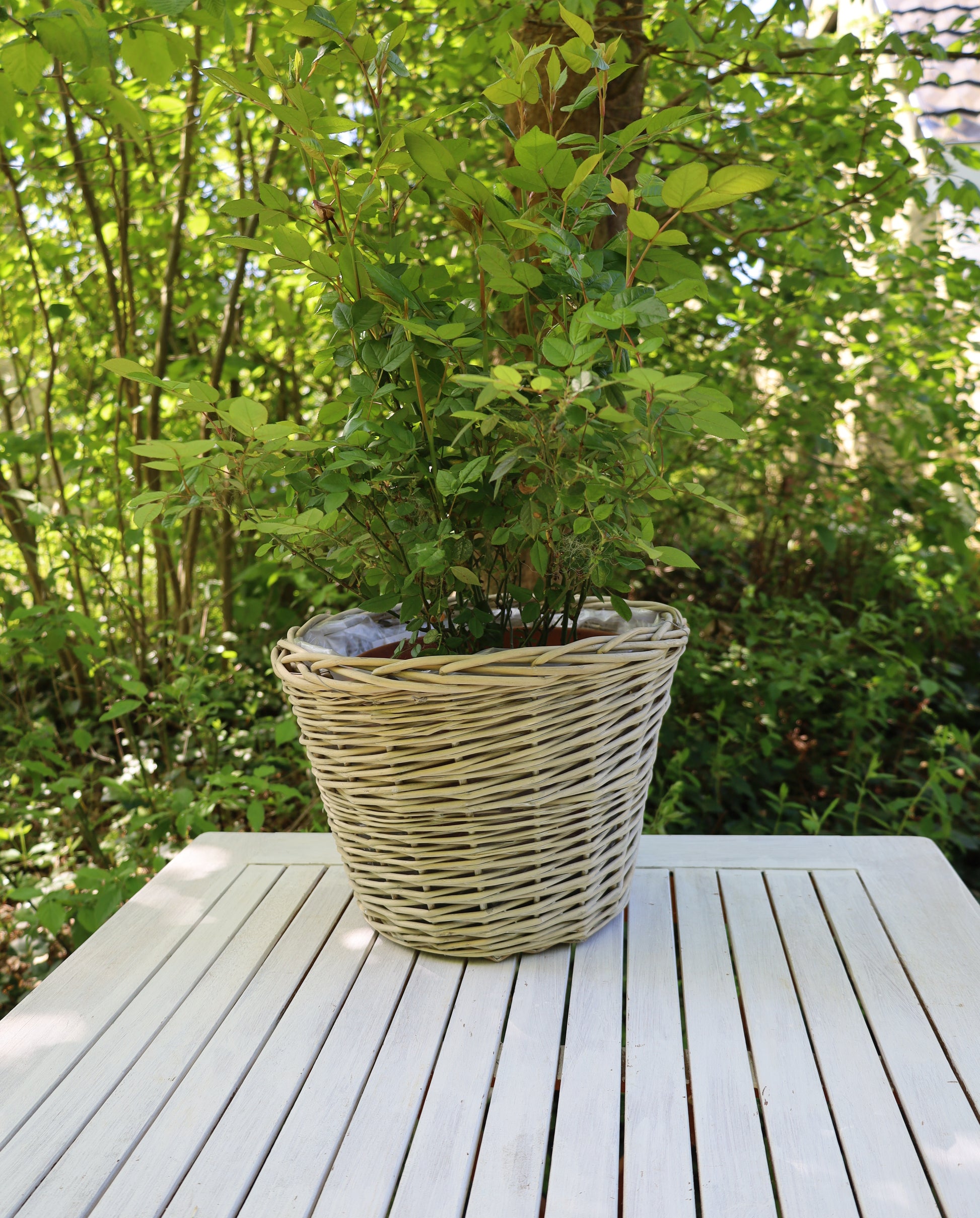 Rattan Pflanztopf 3er Set – Boho Übertopf Beige | Clayre & Eef {{ Shabby Chic und Landhaus Deko }} {{ www.Stein-Alt.de The cosy Cottage }}