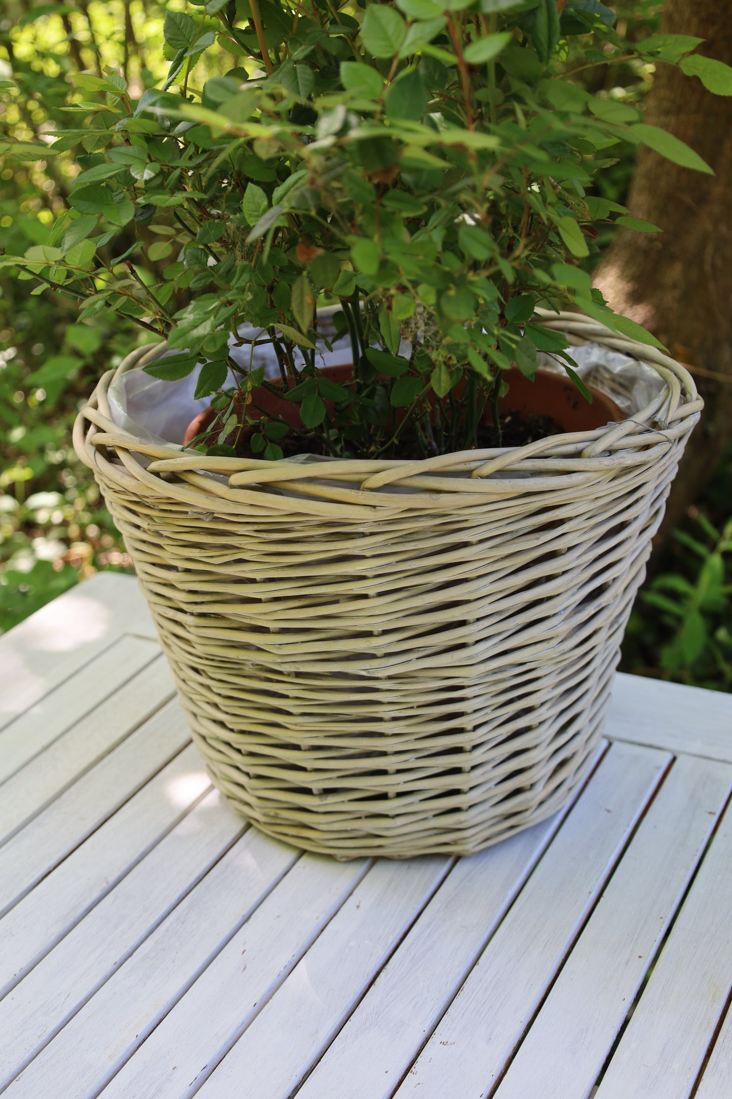 Rattan Pflanztopf 3er Set – Boho Übertopf Beige | Clayre & Eef {{ Shabby Chic und Landhaus Deko }} {{ www.Stein-Alt.de The cosy Cottage }}