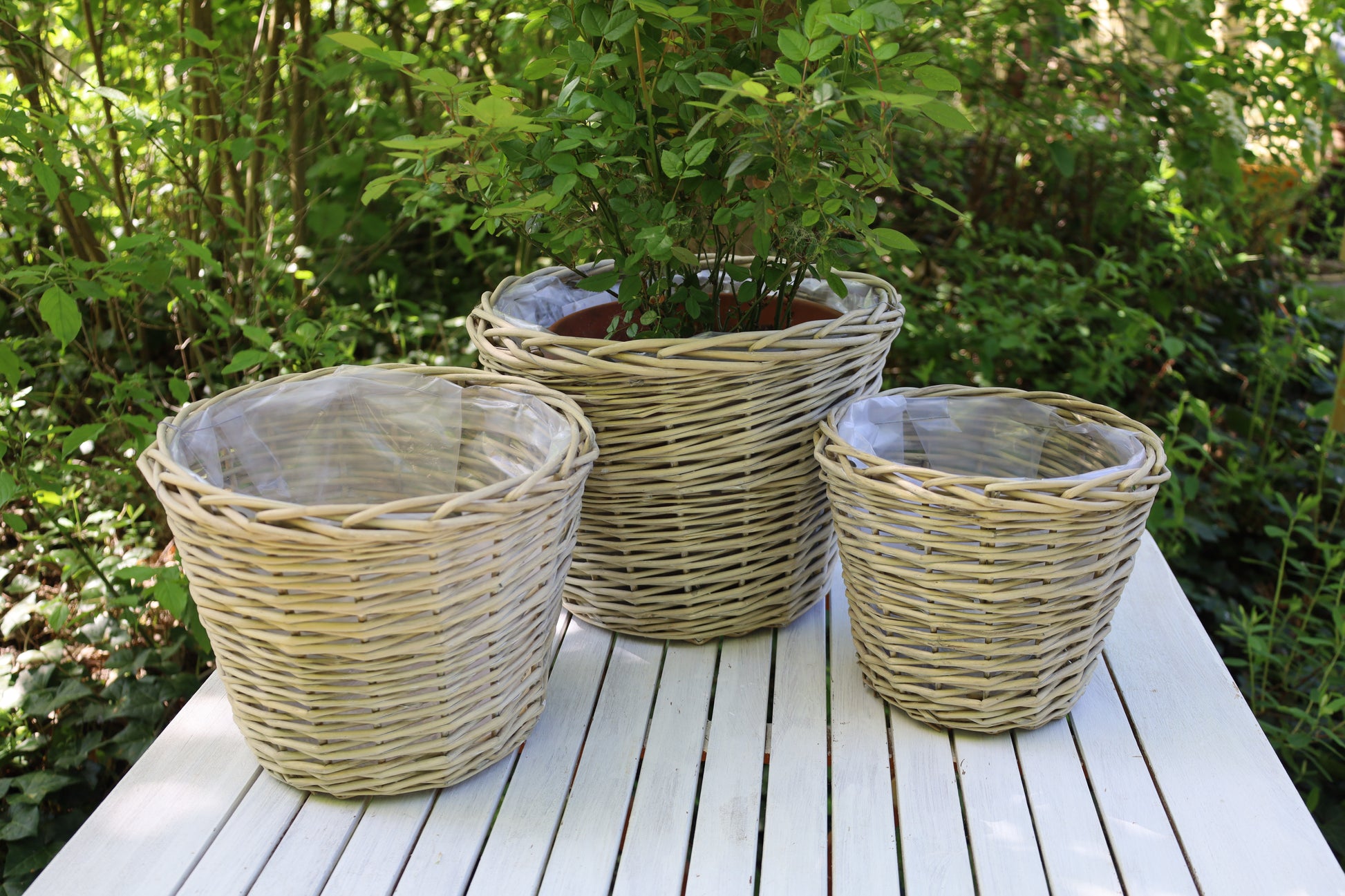 Rattan Pflanztopf 3er Set – Boho Übertopf Beige | Clayre & Eef {{ Shabby Chic und Landhaus Deko }} {{ www.Stein-Alt.de The cosy Cottage }}