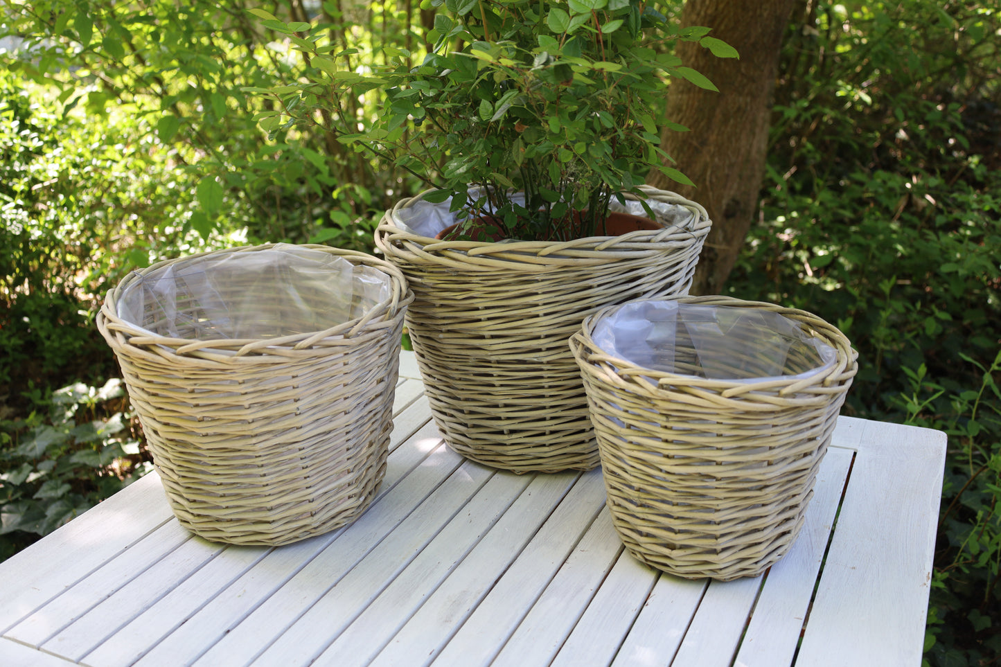 Rattan Pflanztopf 3er Set – Boho Übertopf Beige | Clayre & Eef {{ Shabby Chic und Landhaus Deko }} {{ www.Stein-Alt.de The cosy Cottage }}