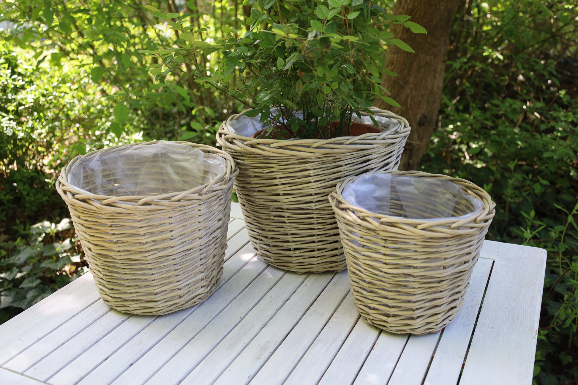 Rattan Pflanztopf 3er Set – Boho Übertopf Beige | Clayre & Eef {{ Shabby Chic und Landhaus Deko }} {{ www.Stein-Alt.de The cosy Cottage }}