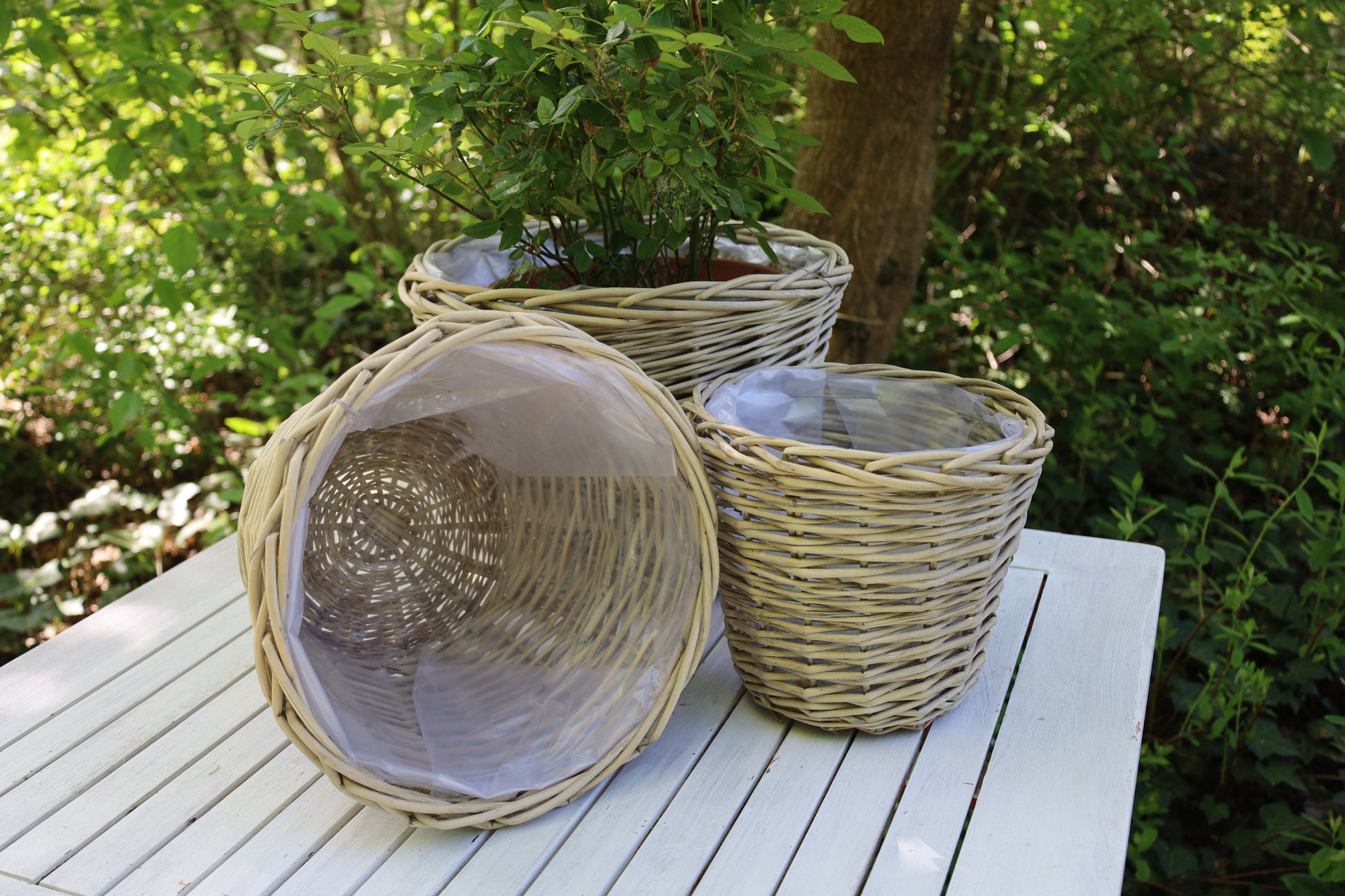 Rattan Pflanztopf 3er Set – Boho Übertopf Beige | Clayre & Eef {{ Shabby Chic und Landhaus Deko }} {{ www.Stein-Alt.de The cosy Cottage }}