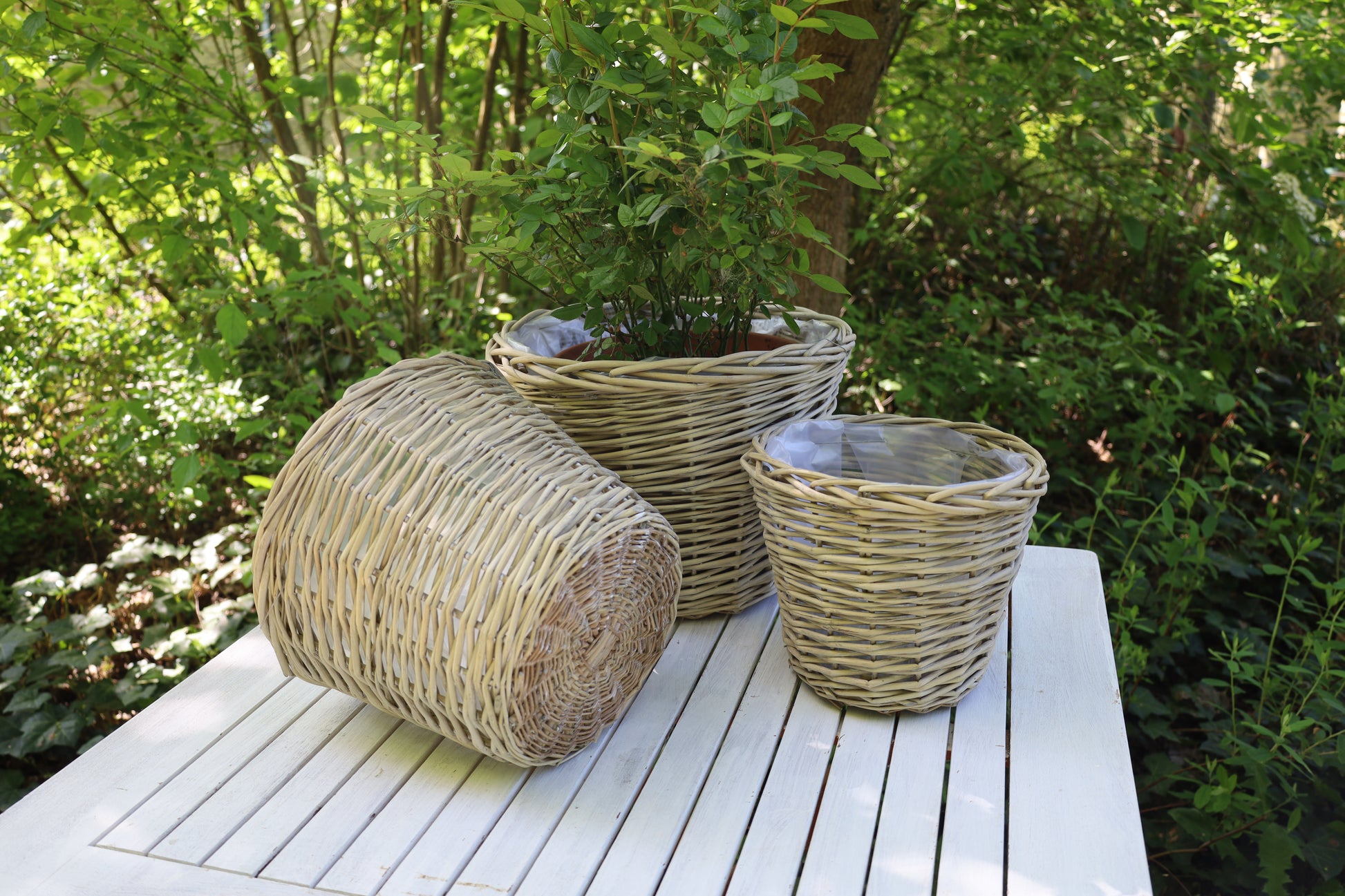 Rattan Pflanztopf 3er Set – Boho Übertopf Beige | Clayre & Eef {{ Shabby Chic und Landhaus Deko }} {{ www.Stein-Alt.de The cosy Cottage }}