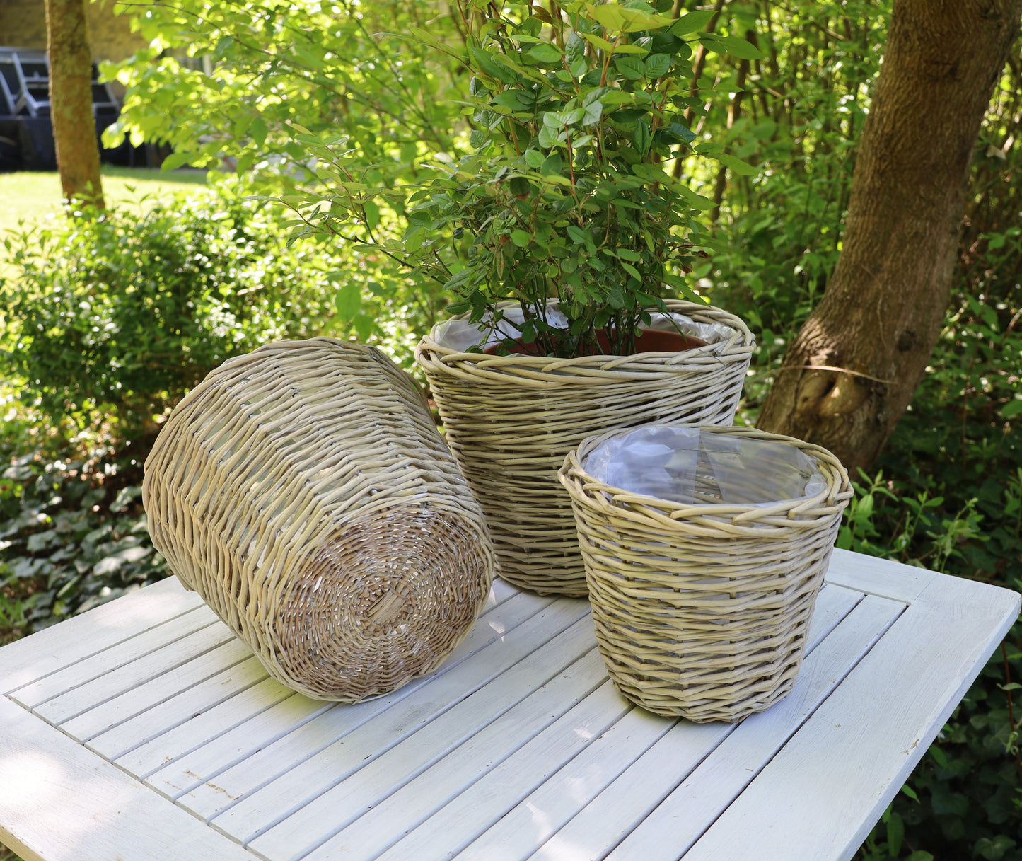 Rattan Pflanztopf 3er Set – Boho Übertopf Beige | Clayre & Eef {{ Shabby Chic und Landhaus Deko }} {{ www.Stein-Alt.de The cosy Cottage }}