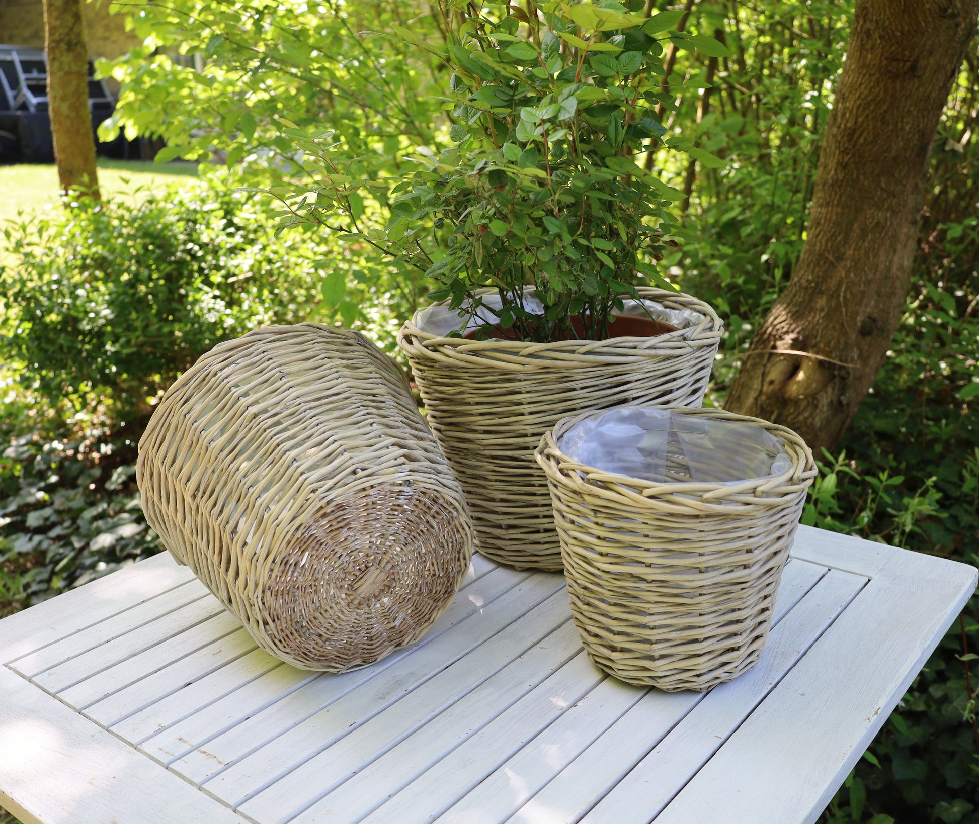 Rattan Pflanztopf 3er Set – Boho Übertopf Beige | Clayre & Eef {{ Shabby Chic und Landhaus Deko }} {{ www.Stein-Alt.de The cosy Cottage }}