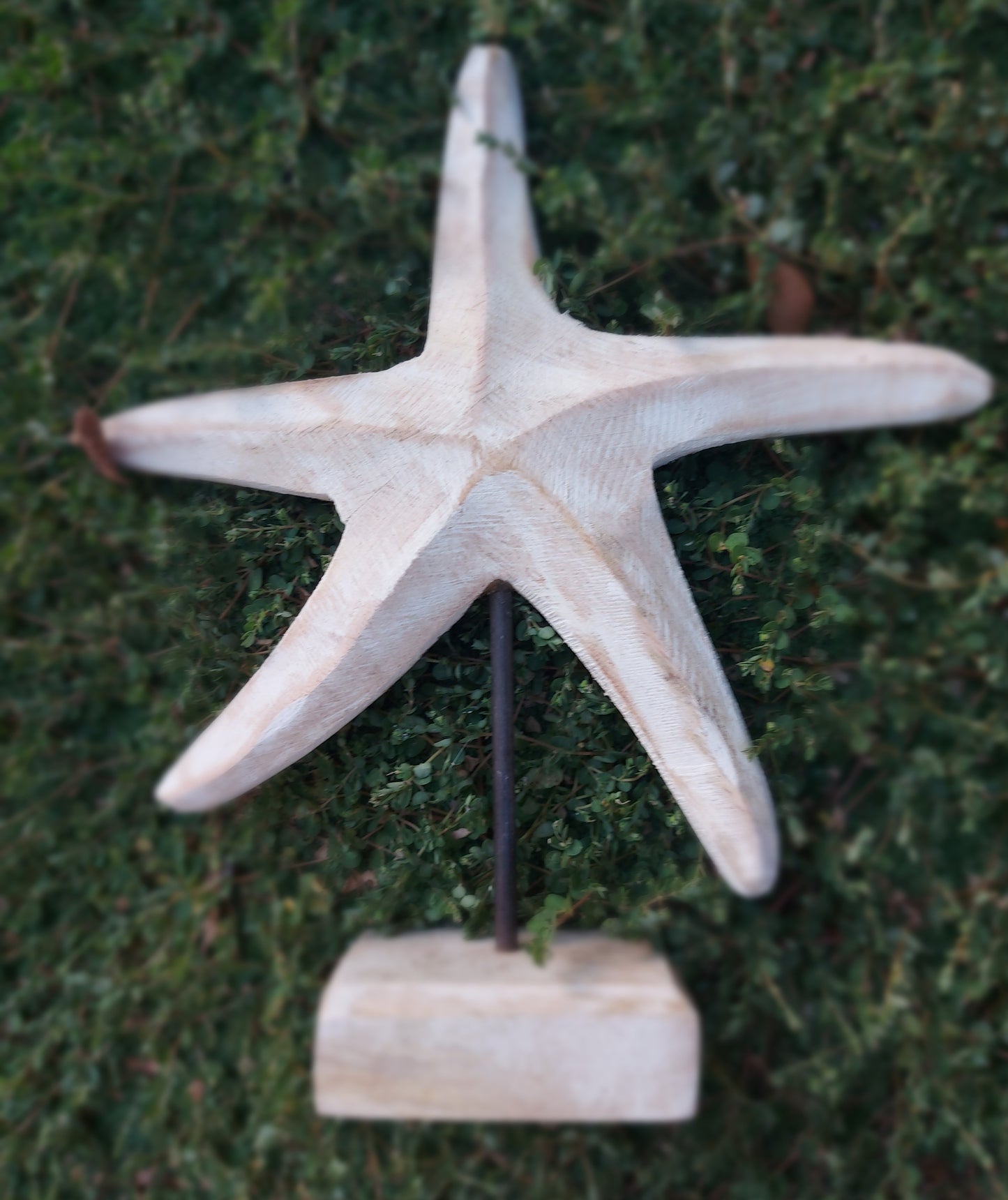 Seestern Holz Deko - Handgefertigt Maritime Landhaus Dekoration