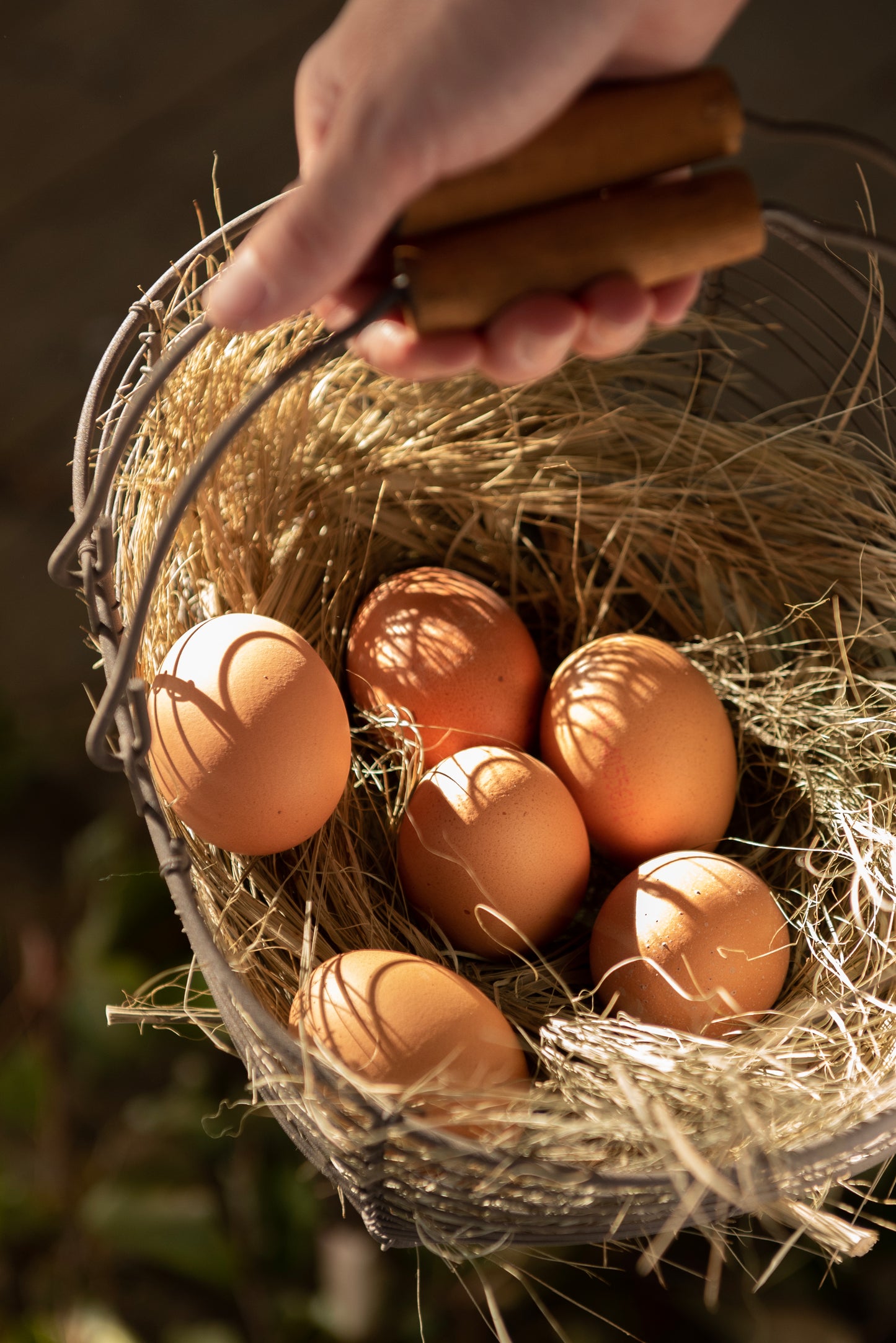 Aufbewahrungskorb Draht 3er Set mit Henkel - Körbe Landhaus Braun