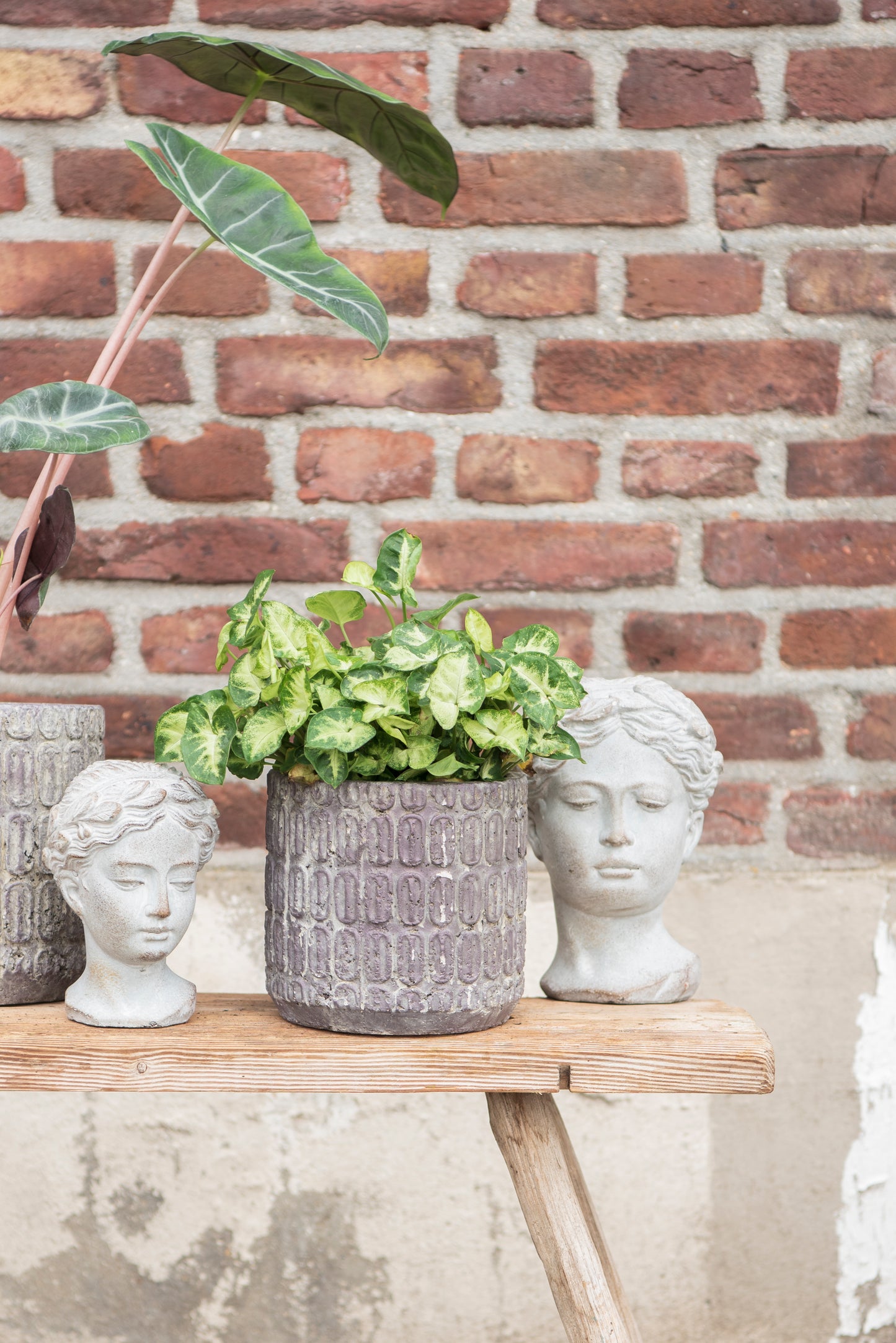 Frauen-Büste Steinguss Grau 12x11x17 cm - Wetterfeste Gartendeko im Shabby Chic