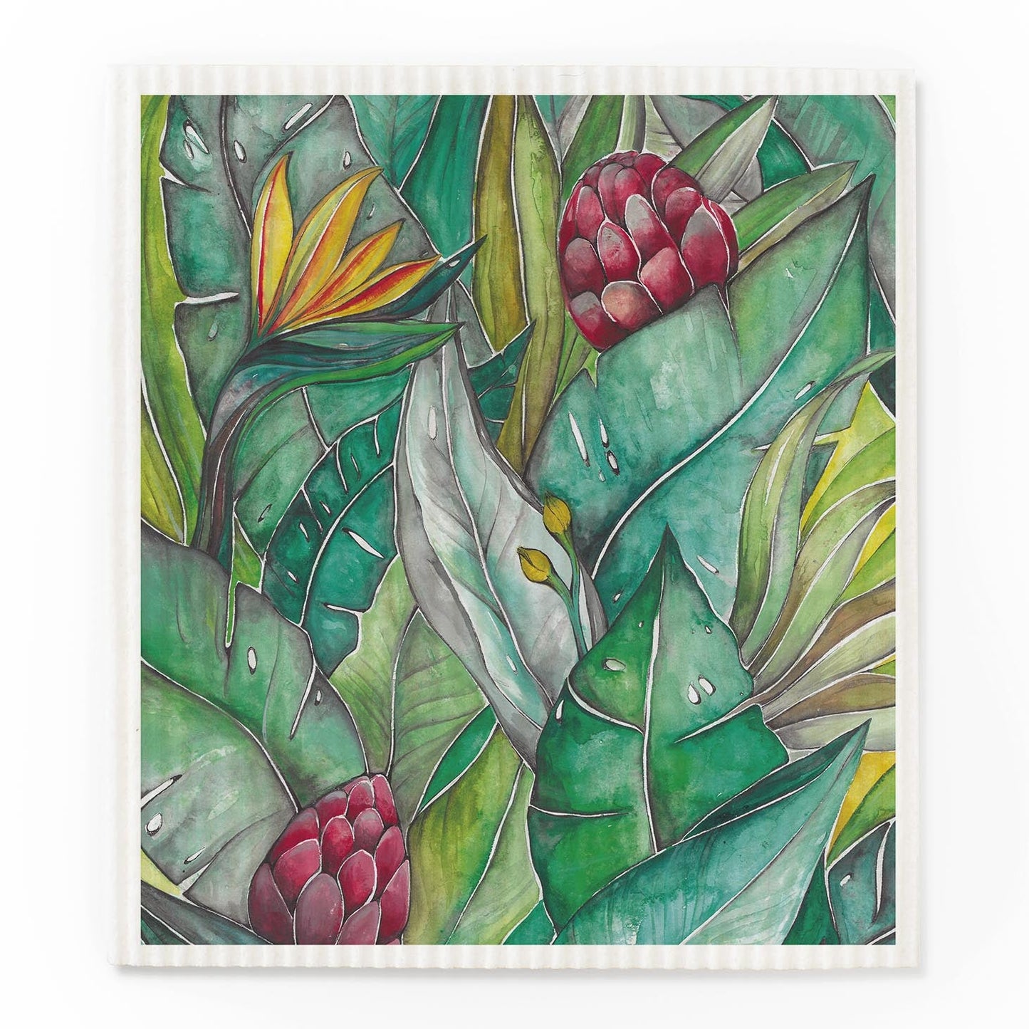 Zero Waste Schwammtücher - Bio Baumwolle & Holz, kompostierbar