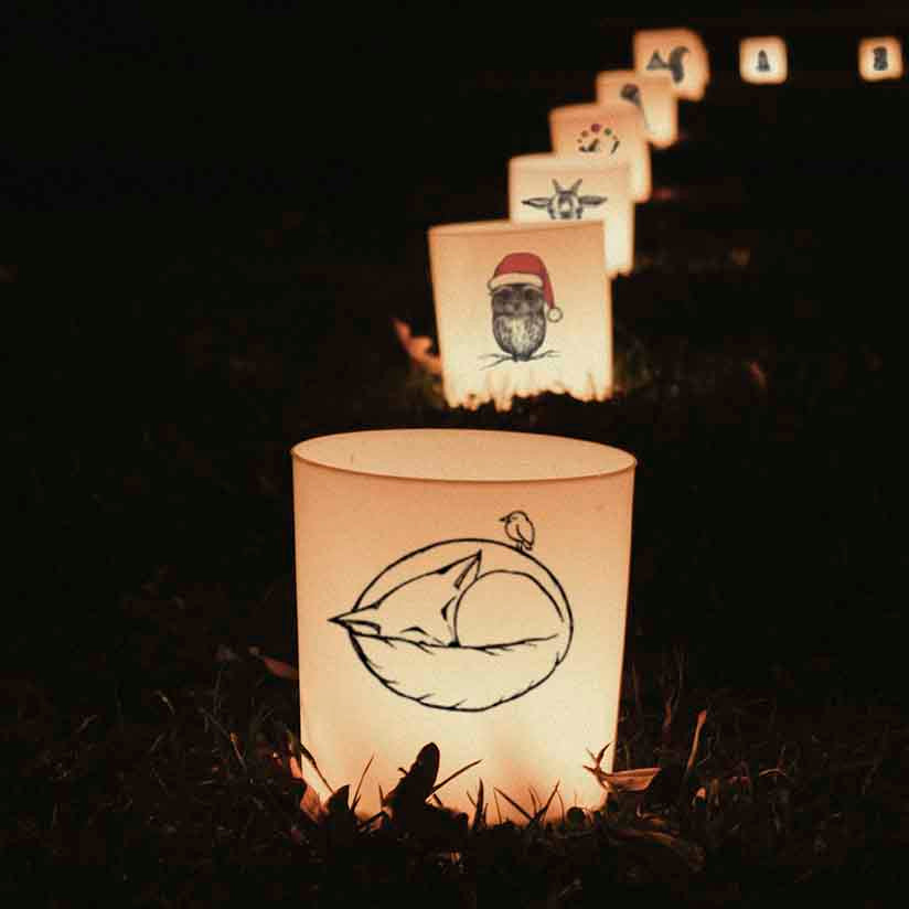 Windlicht Bär und Biene - Teelichthalter aus satiniertem Glas 8cm