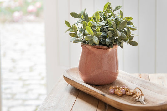 Ovale Holzschale Rustikal - Dekoratives Serviertablett im Landhausstil 40cm