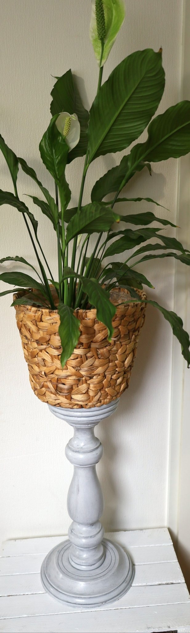 Blumenständer: Dekorative Holzsäule Grau - Vintage Pflanzenständer {{ Shabby Chic und Landhaus Deko }} {{ www.Stein-Alt.de }}