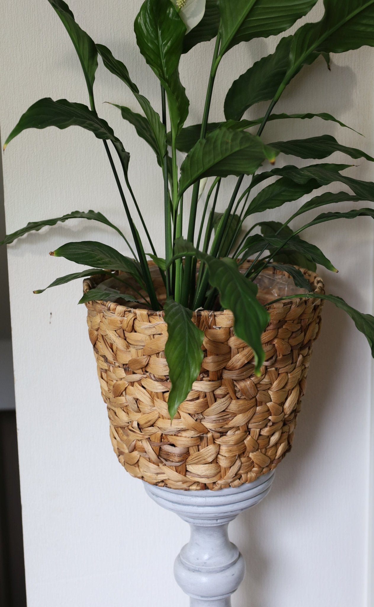 Blumenständer: Dekorative Holzsäule Grau - Vintage Pflanzenständer {{ Shabby Chic und Landhaus Deko }} {{ www.Stein-Alt.de }}