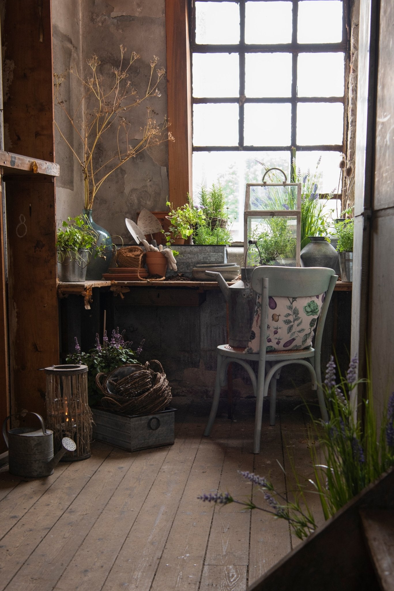 Zinkeimer Grau | Dekorativer Übertopf im Landhausstil Ø 18 cm {{ Shabby Chic und Landhaus Deko }} {{ www.Stein-Alt.de }}