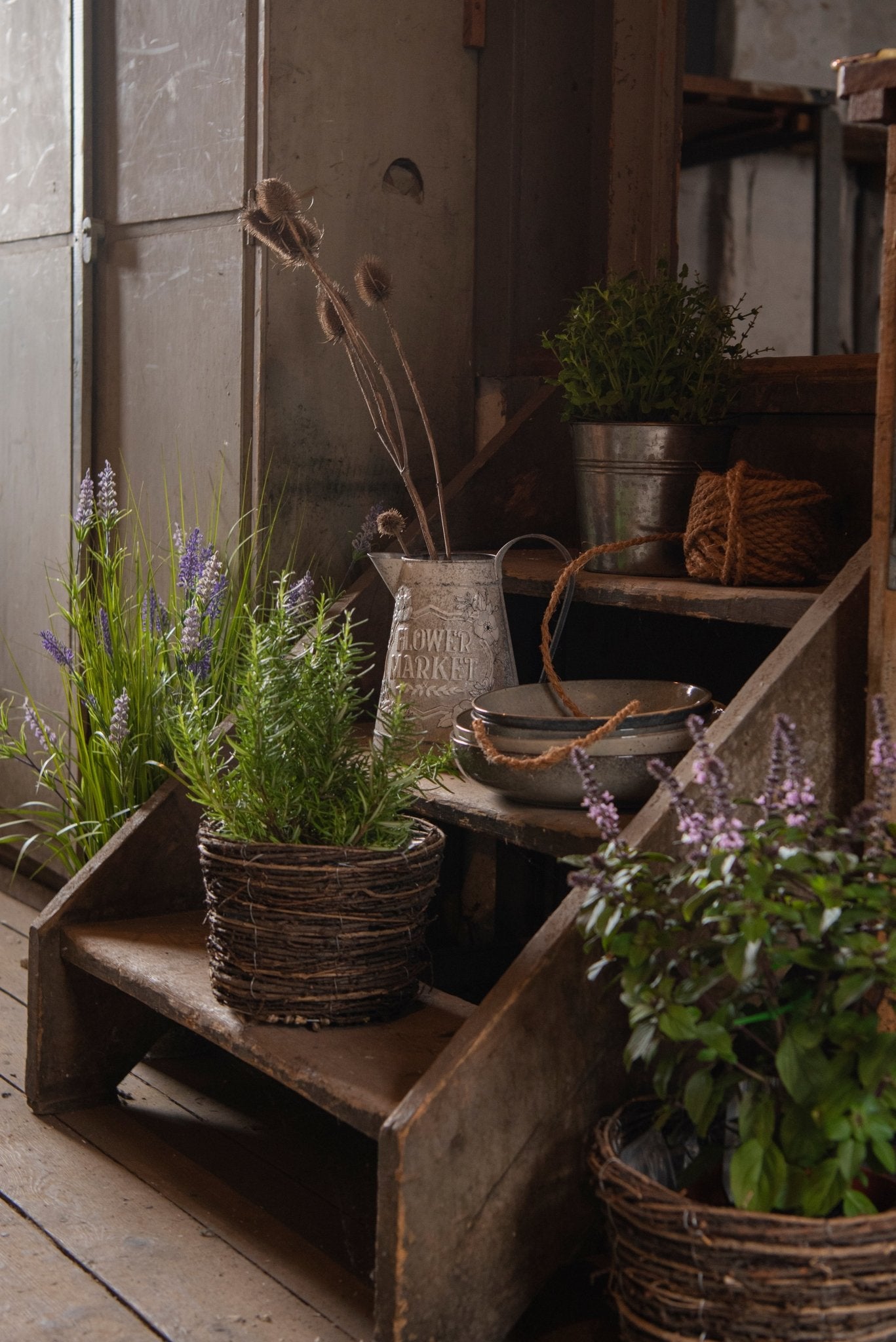 Zinkeimer Grau | Dekorativer Übertopf im Landhausstil Ø 18 cm {{ Shabby Chic und Landhaus Deko }} {{ www.Stein-Alt.de }}