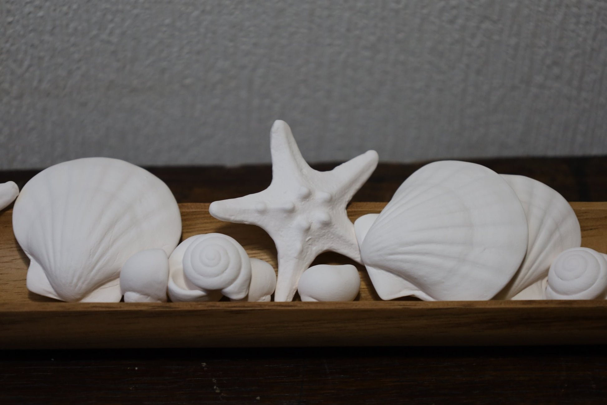 Duftsteine aus Porzellan ( Seesterne und Muscheln) für Ätherische Öle {{ Shabby Chic und Landhaus Deko }} {{ www.Stein-Alt.de }}