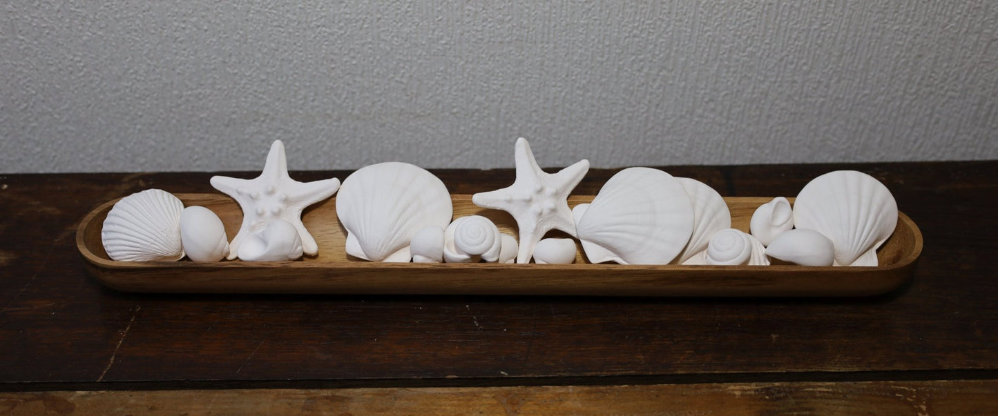 Duftsteine aus Porzellan ( Seesterne und Muscheln) für Ätherische Öle {{ Shabby Chic und Landhaus Deko }} {{ www.Stein-Alt.de }}
