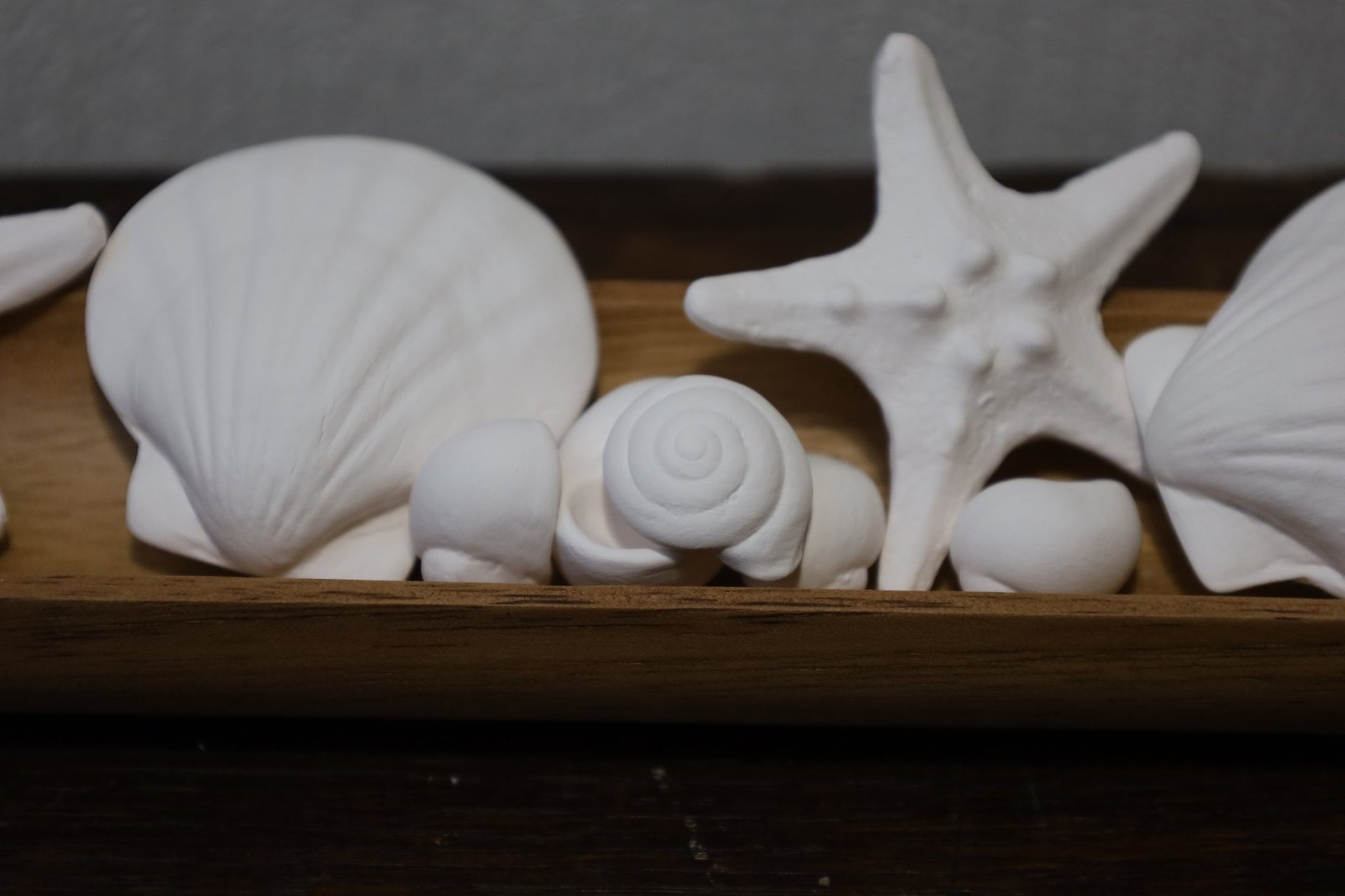 Duftsteine aus Porzellan ( Seesterne und Muscheln) für Ätherische Öle {{ Shabby Chic und Landhaus Deko }} {{ www.Stein-Alt.de }}