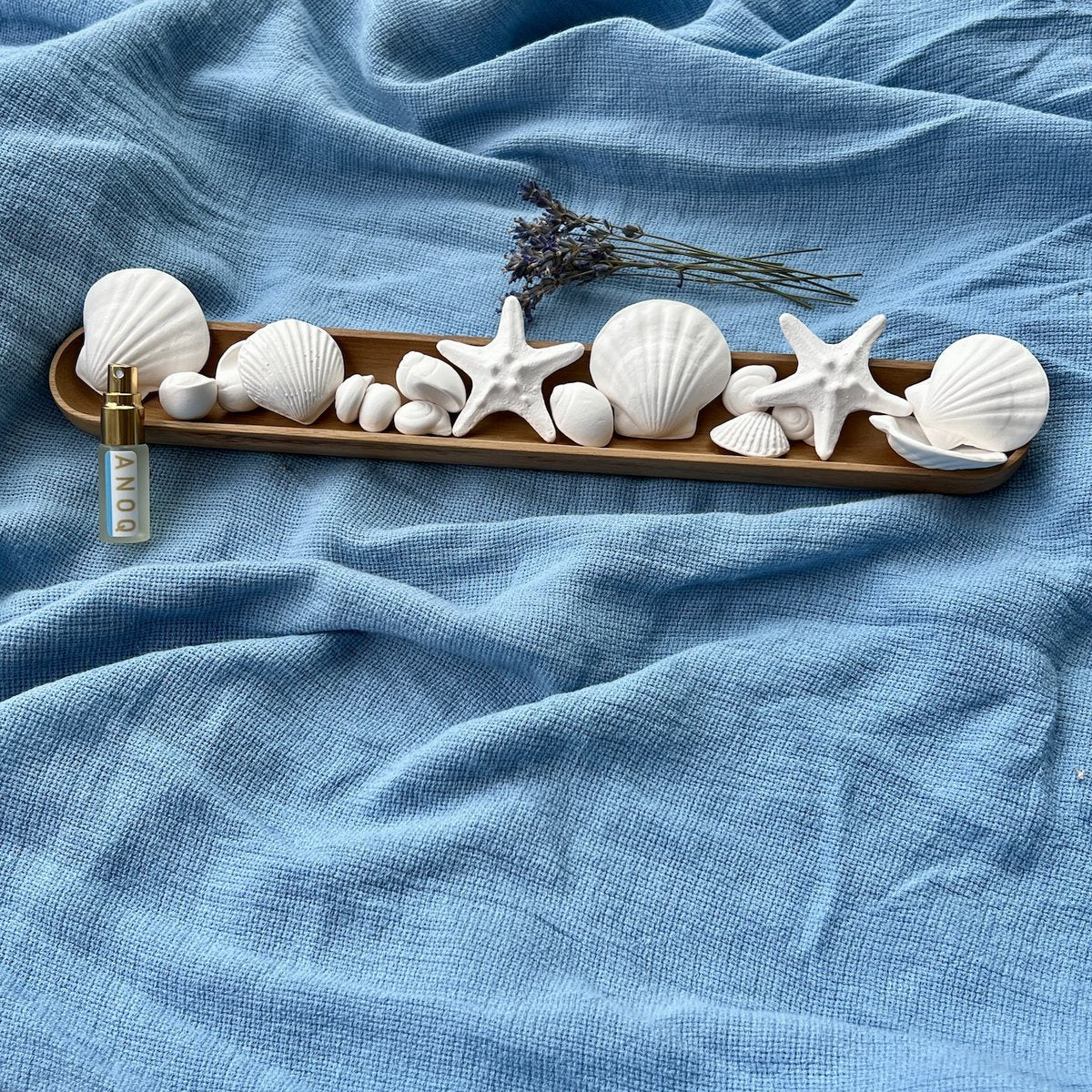 Duftsteine aus Porzellan ( Seesterne und Muscheln) für Ätherische Öle {{ Shabby Chic und Landhaus Deko }} {{ www.Stein-Alt.de }}