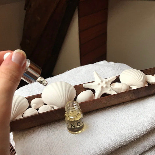 Duftsteine aus Porzellan ( Seesterne und Muscheln) für Ätherische Öle {{ Shabby Chic und Landhaus Deko }} {{ www.Stein-Alt.de }}