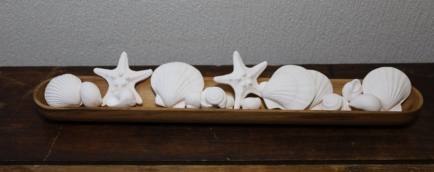 Duftsteine aus Porzellan ( Seesterne und Muscheln) für Ätherische Öle {{ Shabby Chic und Landhaus Deko }} {{ www.Stein-Alt.de }}