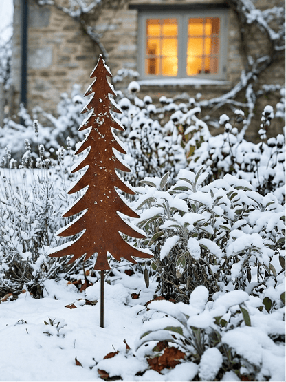 Großer Edelrost-Tannenbaum allein im verschneiten Garten