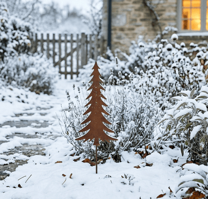 Kleiner Edelrost-Tannenbaum allein im verschneiten Garten