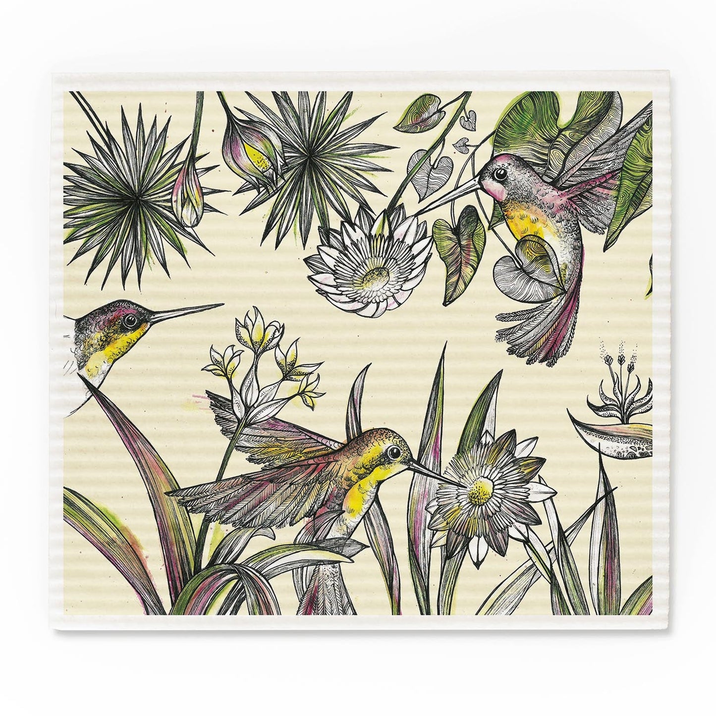 Zero Waste Schwammtücher - Bio Baumwolle & Holz, kompostierbar