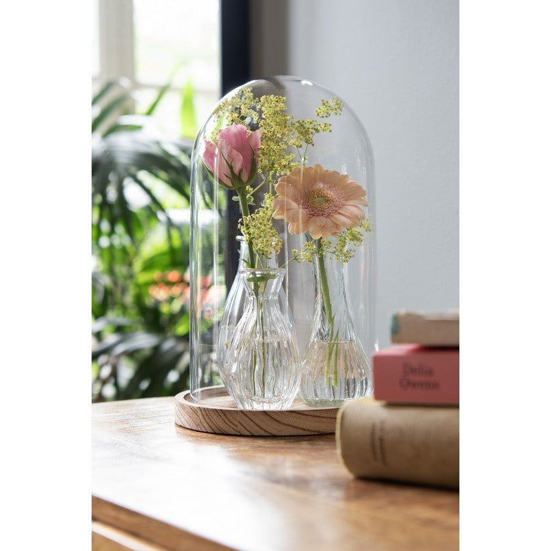 Kleine Glasvasen 3er Set - Dekorative Mini Vasen für Blumen {{ Shabby Chic und Landhaus Deko }} {{ www.Stein-Alt.de }}