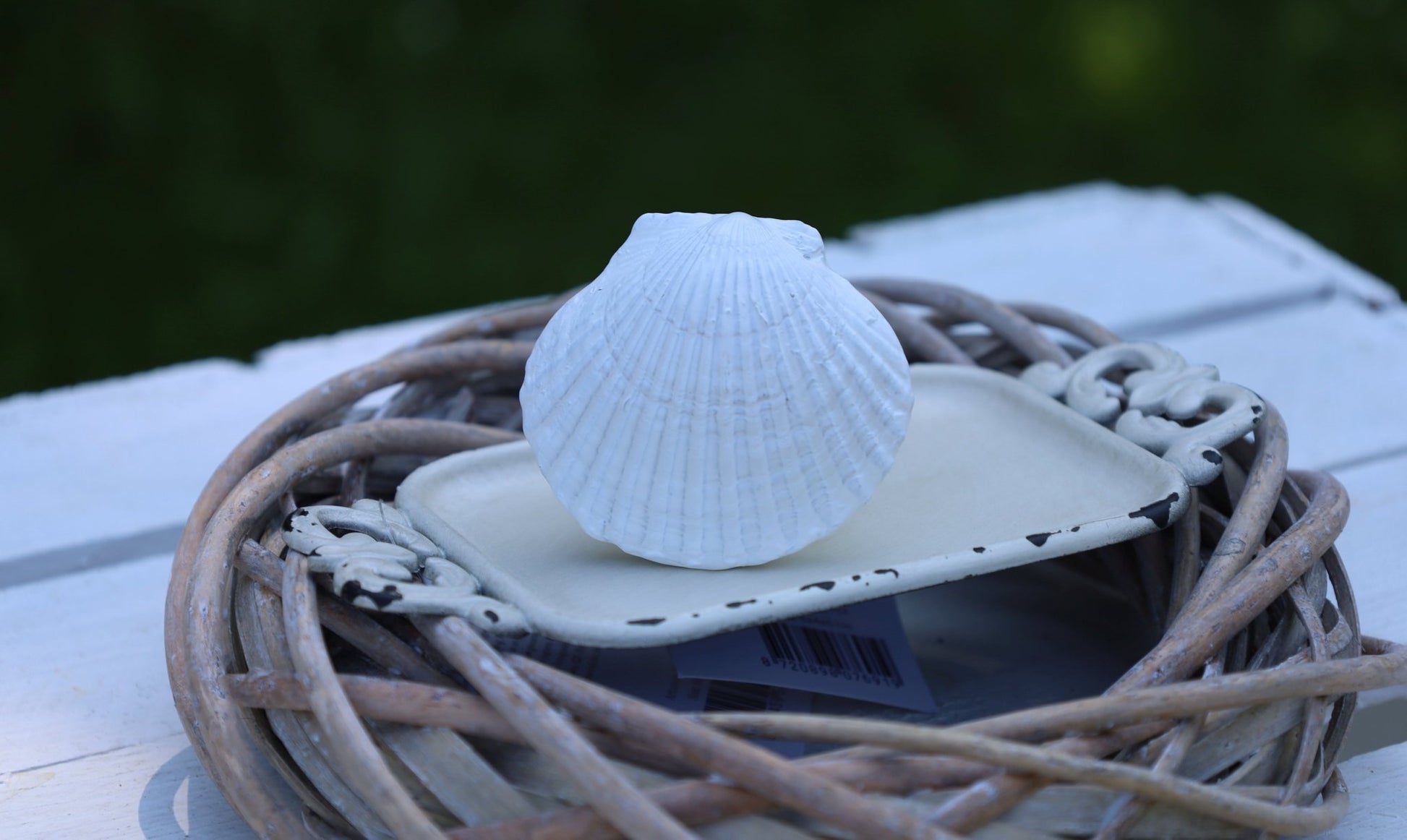 Möbelknopf Muschel Weiß - Maritimer Schubladengriff Landhausstil {{ Shabby Chic und Landhaus Deko }} {{ www.Stein-Alt.de }}