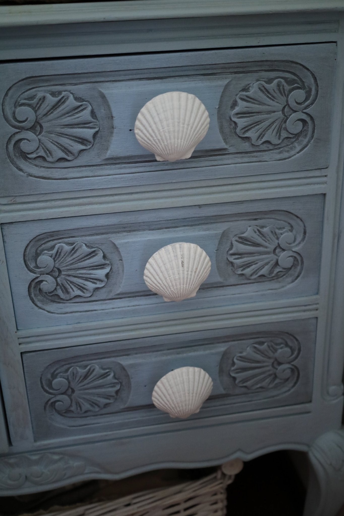 Möbelknopf Muschel Weiß - Maritimer Schubladengriff Landhausstil {{ Shabby Chic und Landhaus Deko }} {{ www.Stein-Alt.de }}