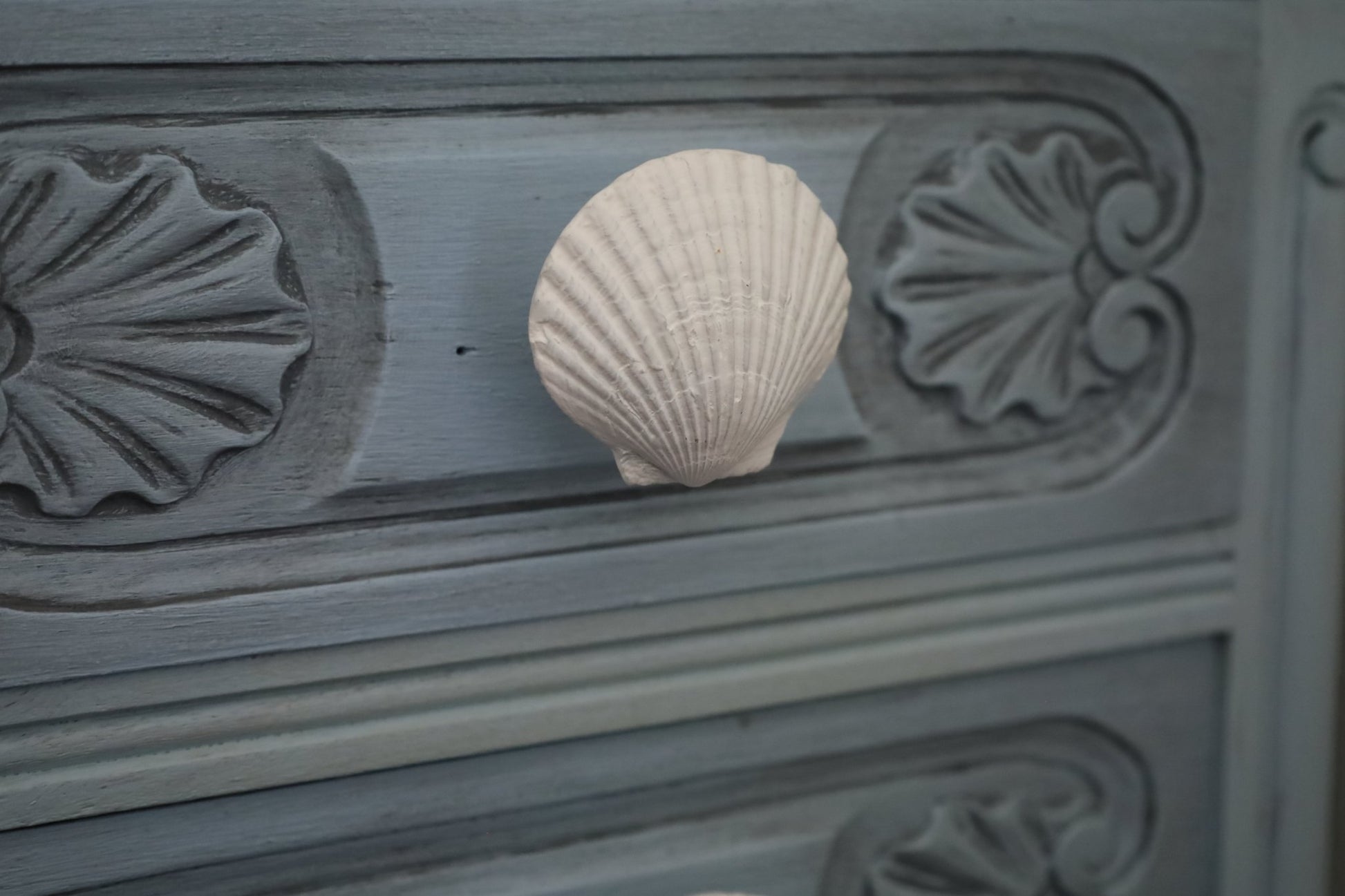 Möbelknopf Muschel Weiß - Maritimer Schubladengriff Landhausstil {{ Shabby Chic und Landhaus Deko }} {{ www.Stein-Alt.de }}