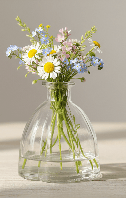 Vase Muschelförmige Glasvase 2er Set - Transparente Blumenvase für Hochzeit & Tischdekoration Shabby Chic und Landhaus Deko bei www.Stein-Alt.de