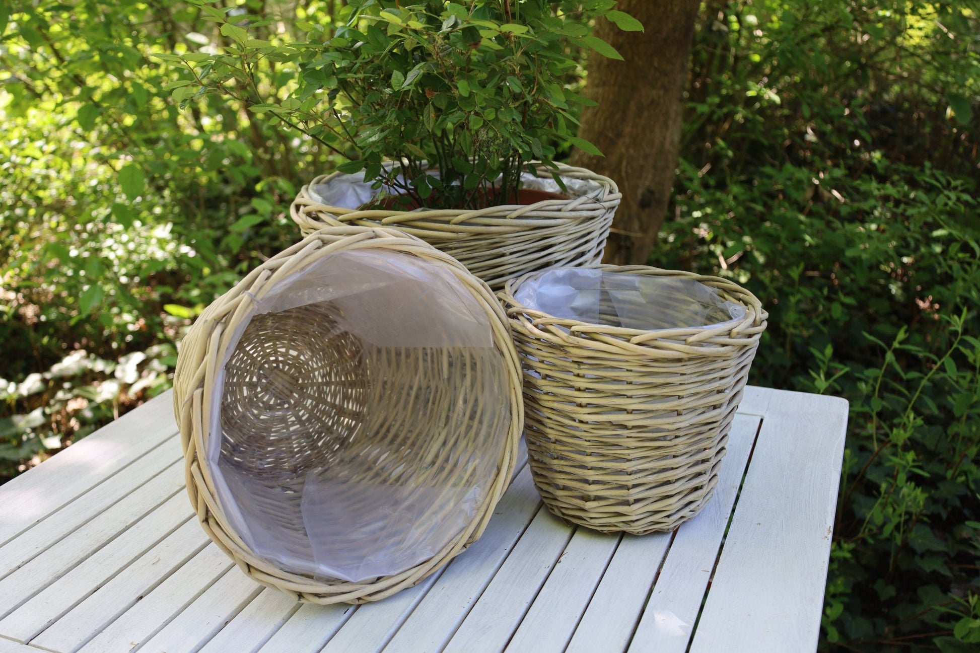 Rattan Pflanztopf 3er Set – Boho Übertopf Beige | Clayre & Eef {{ Shabby Chic und Landhaus Deko }} {{ www.Stein-Alt.de }}
